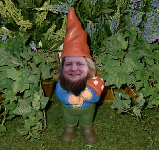 gnome